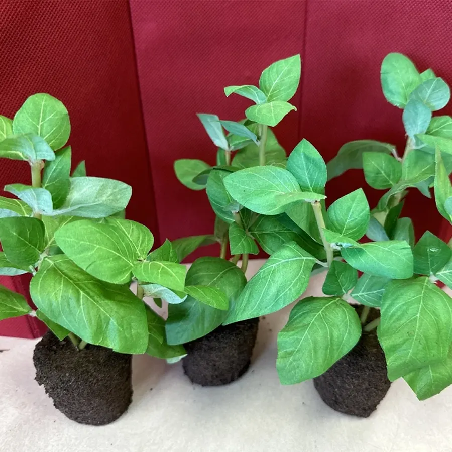 Artificial Basil Plant - Image 4