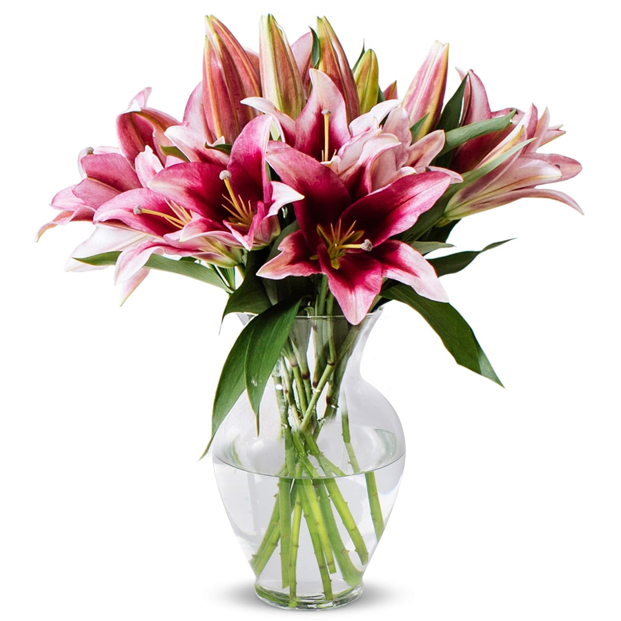 Pink Oriental Lilies