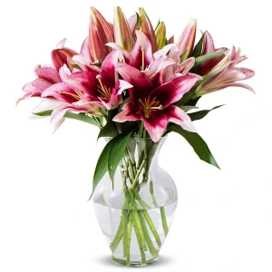 Pink Oriental Lilies