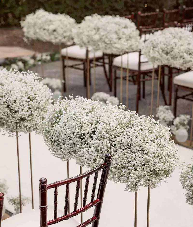 Baby breath in weddings
