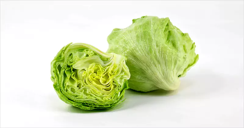 Iceberg lettuce