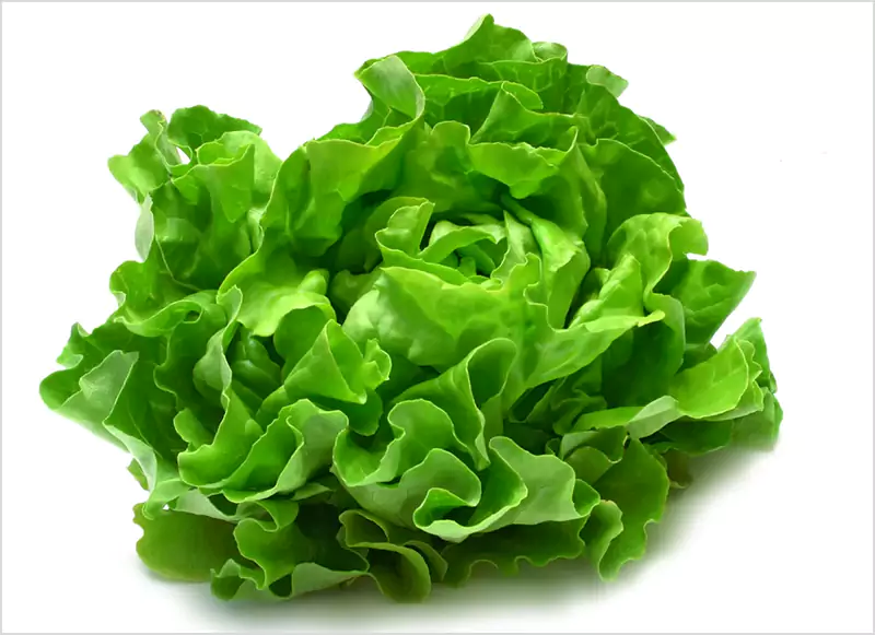 Lettuce