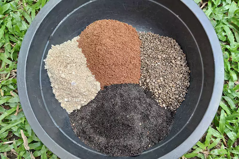 Potting mix for the Christmas cactus