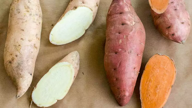 Yam and Sweet potato