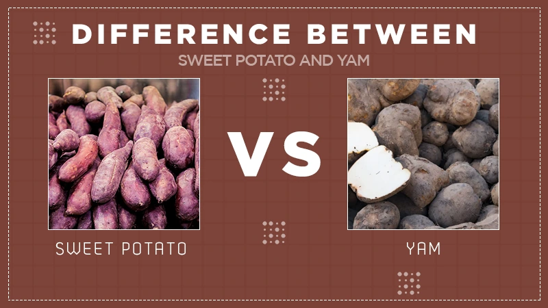 yam and sweet potato