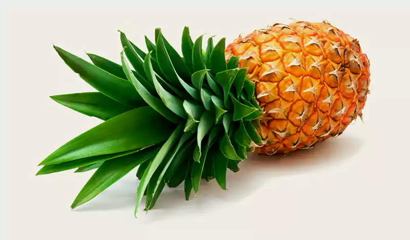 Abacaxi pineapple