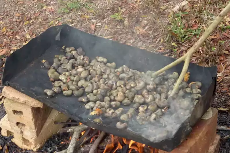 Dry roasting cashew seeds