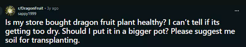 Is my store bought dragon fruit healthy Reddit query