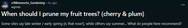 When should I prune my fruit trees cherry and plum