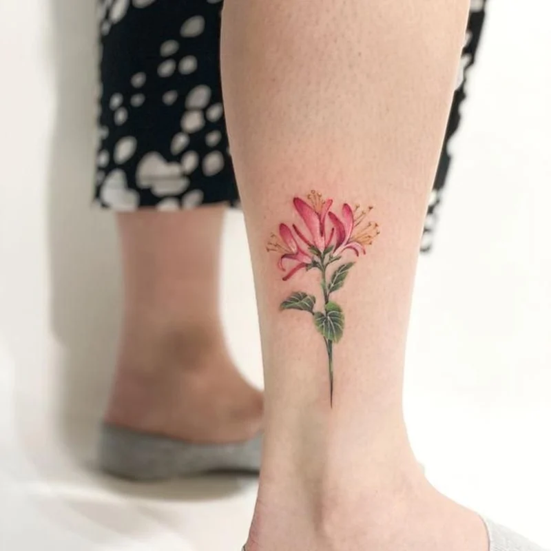 Ideas for Honeysuckle