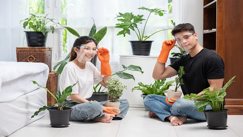 d-Foenegriek Benefits, Growing Tips