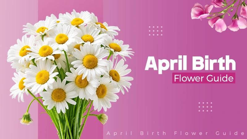 April Birth Flower