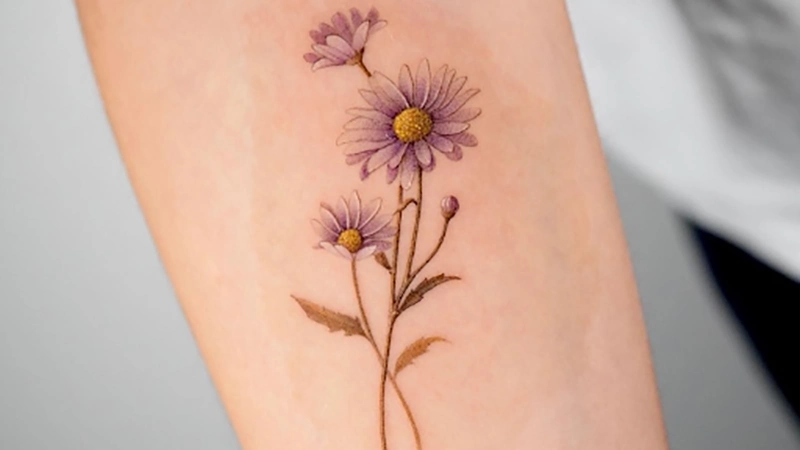 Aster Flower
