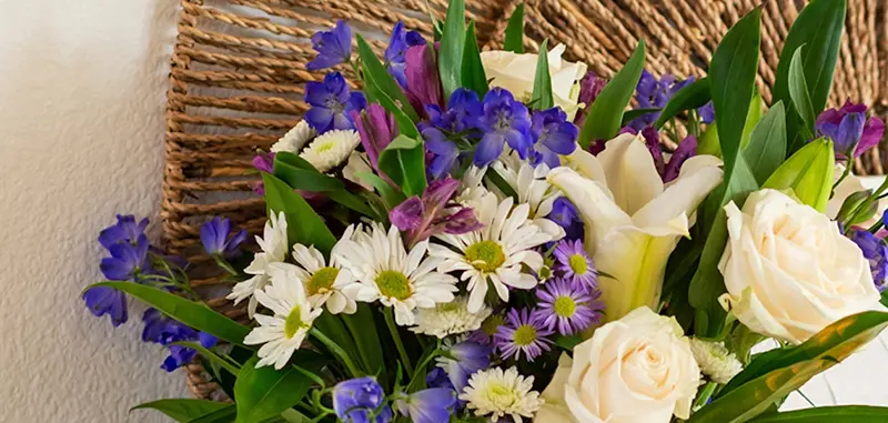 Aster and Morning Glory Flower Bouquet