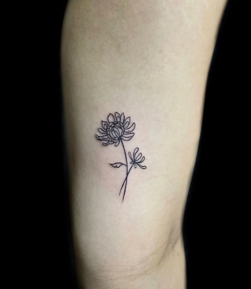 Chrysanthemum Flower Tattoo