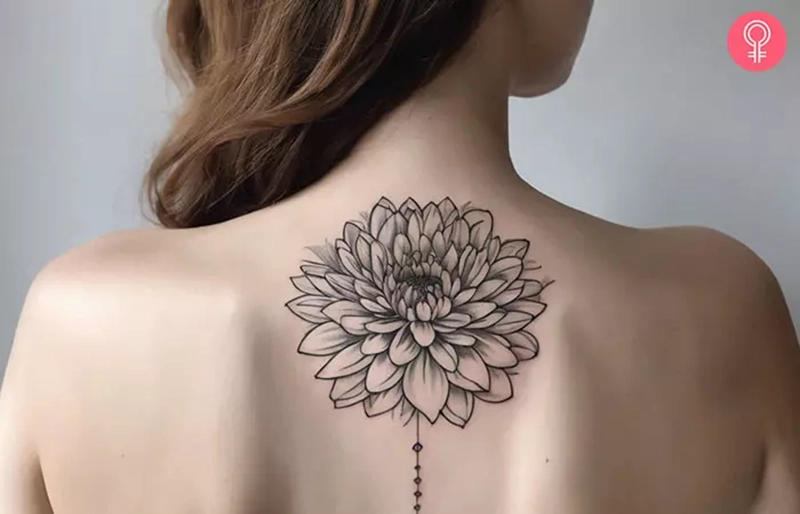 Chrysanthemum