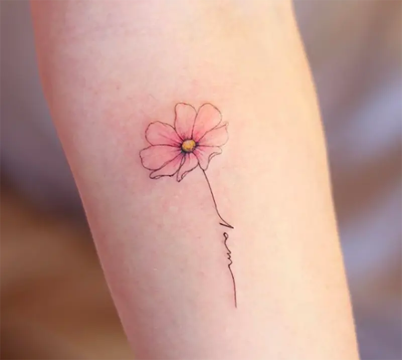 Cosmos Flower Tattoo

