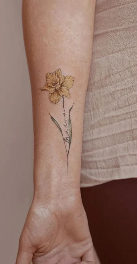 Daffodil Flower