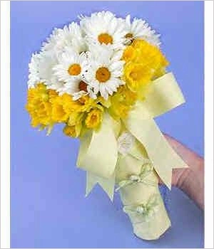 Daffodil and Jonquils
