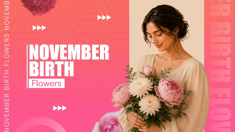 November Birth Flowers