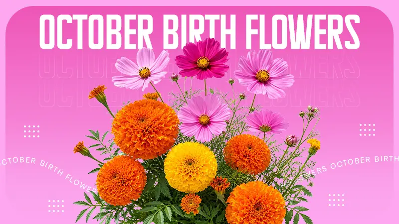 October-Birth-Flowers