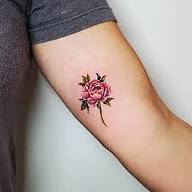Peony Flower