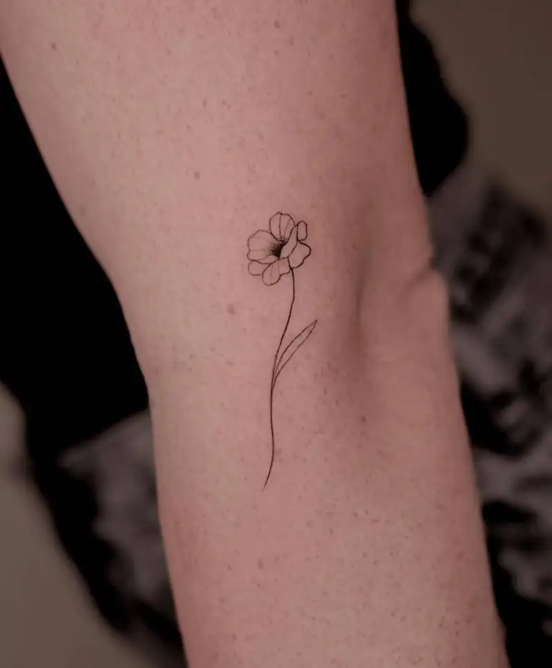 Poppy Flowers
