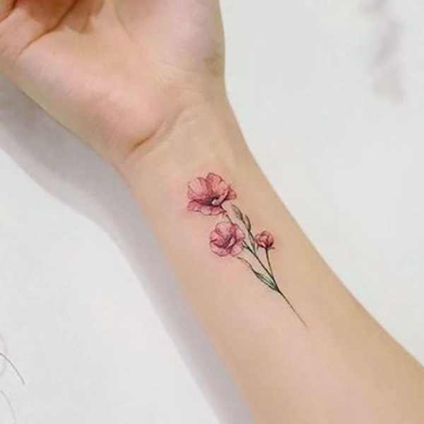 Poppy Flowers