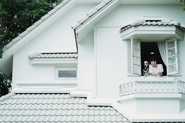 Roof Replacement