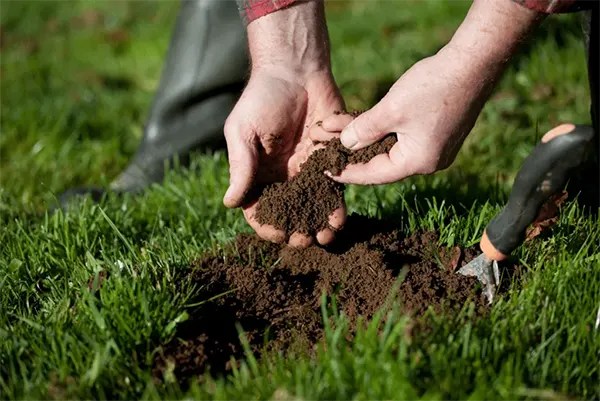 Soil health