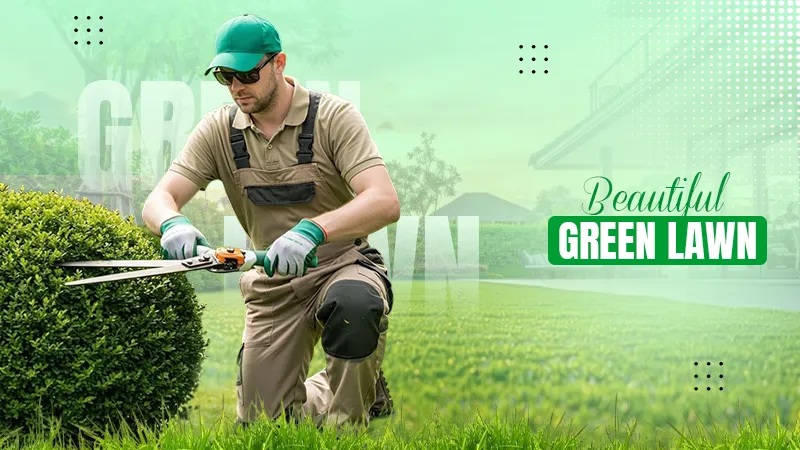 beautiful green lawn