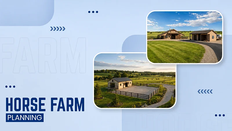 How to Plan the Perfect Horse Property From the Ground Up