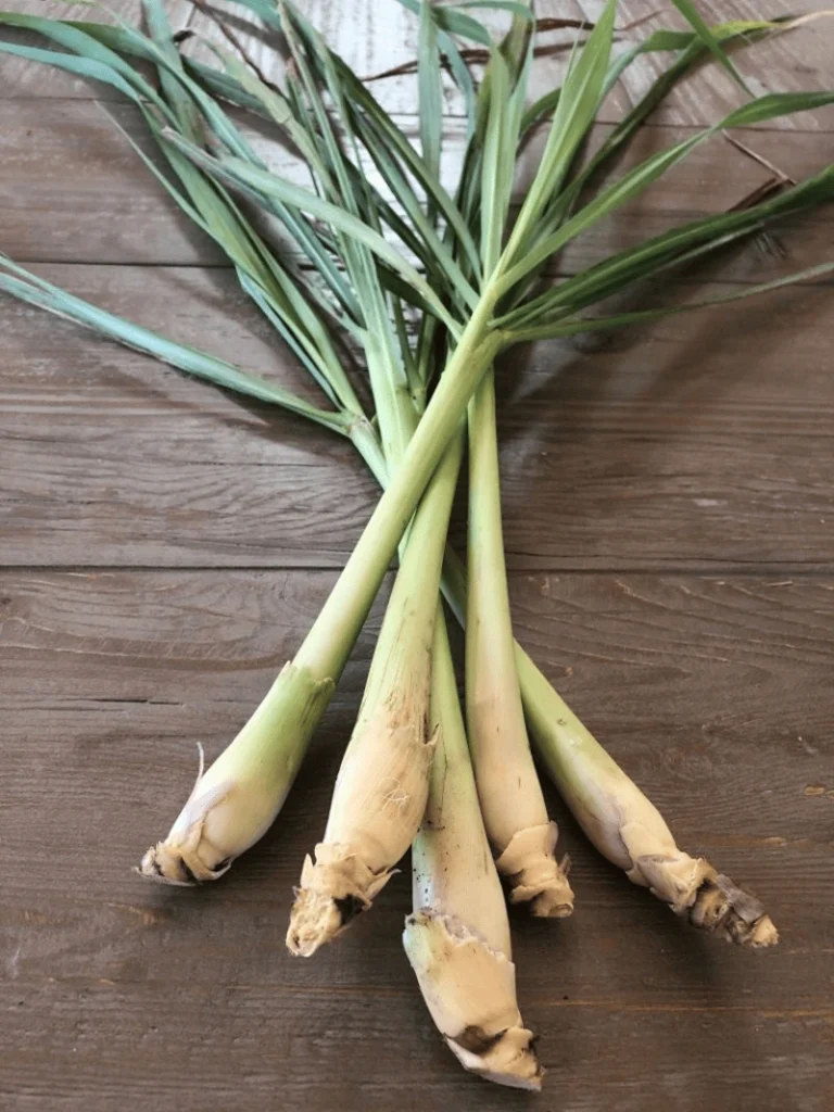 Lemongrass Little Leaf