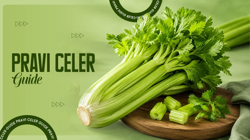 Pravi Celer Guide