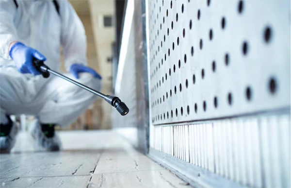 Prevent Pest Infestations