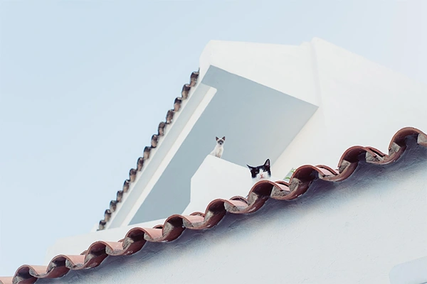 Roof Design