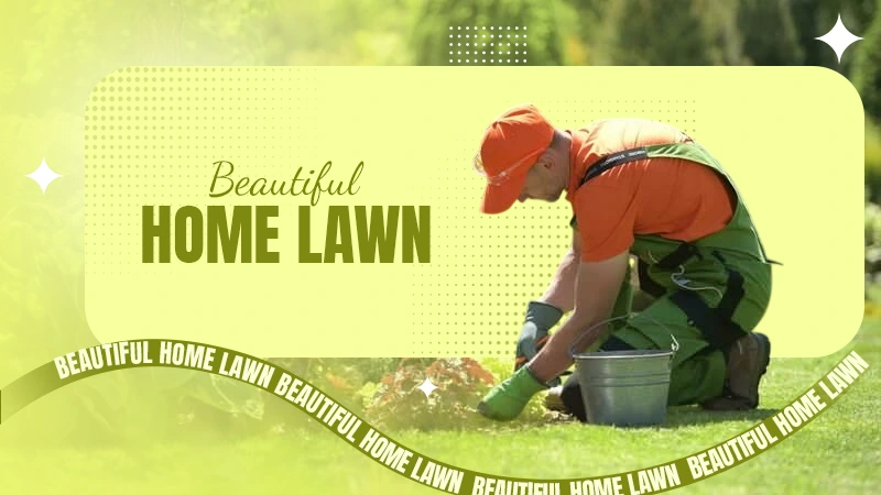 beautiful home lawn
