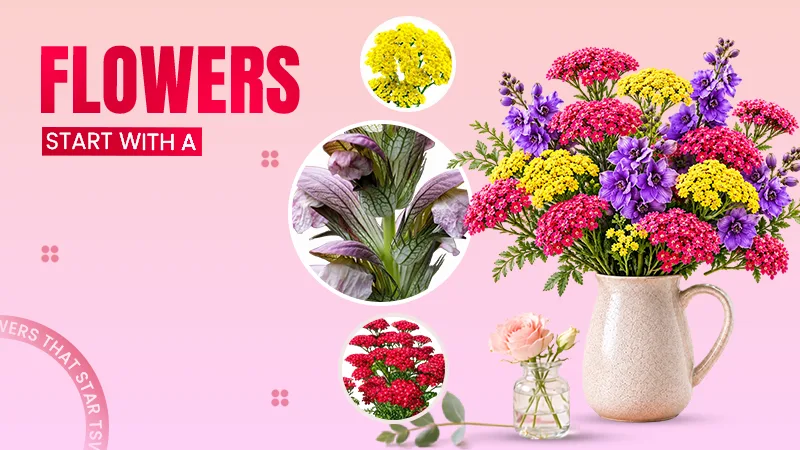 flowers that starts with a