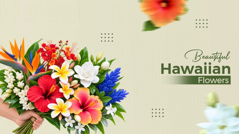 Hawaiian Flowers (1)