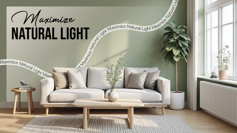 Maximize Natural Light