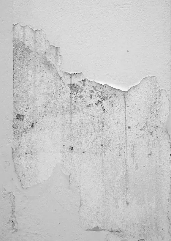 Navigating Repair Standards