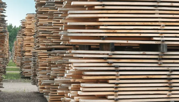 Stacked new cedar siding boards being primed on all faces before installation.