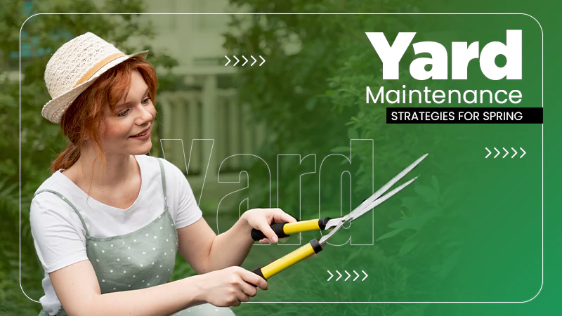 Yard Maintenance Strategies for Spring