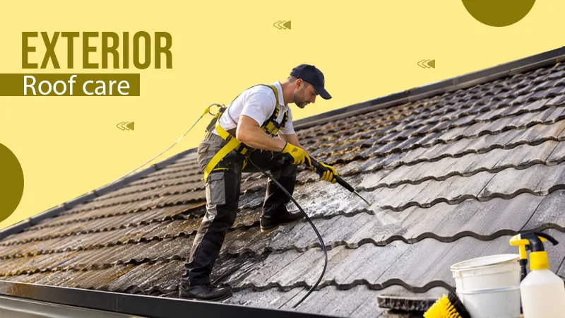 exterior roof care guide