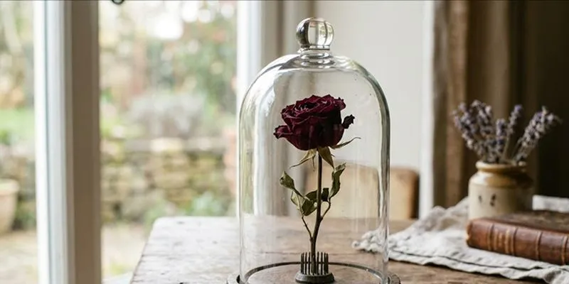 Dried Rose in a Glass Jar