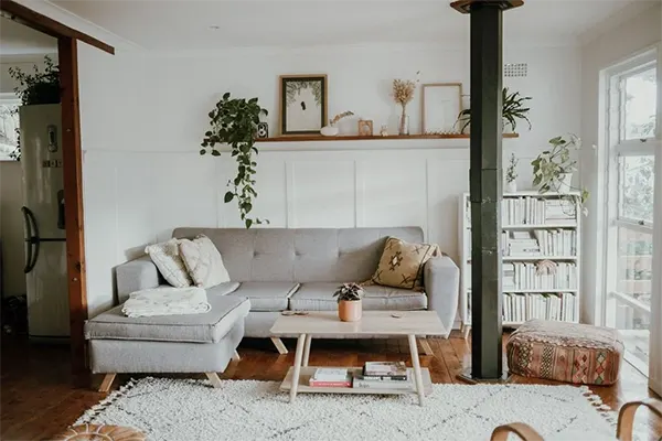 Modern Cozy Living Room