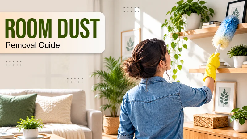 Room Dust Removal Guide