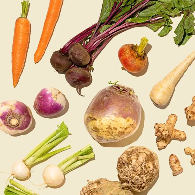 Rutabaga, Carrot, Beetroot, and Radish