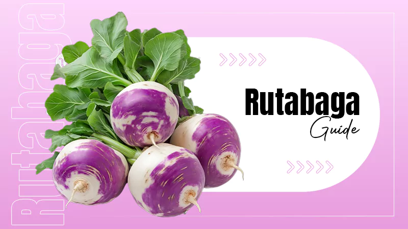 Rutabaga Guide