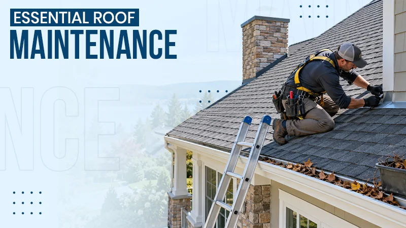 Top Roof Maintenance Steps to Prevent Costly Leaks